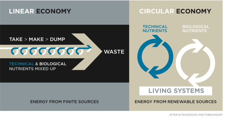 circular-linear-economy.jpg
